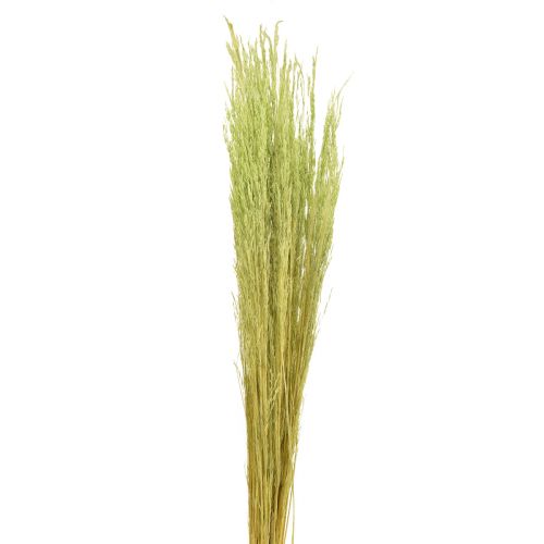 Floristik24 Taivutettu ruoho Agrostis Capillaris Kuivat ruohot Vihreät 65cm 80g