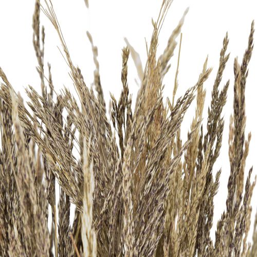 kohteita Bent Grass Agrostis Capillaris Dry Grass Nature 60cm 80g