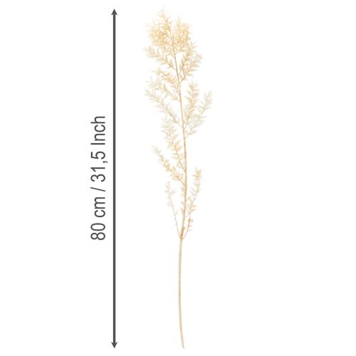 Kuivattu koristeellinen ruskusoksa, valkaistu ruskus, 200g | Floristik24.fi