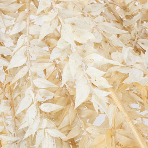 Kuivattu koristeellinen ruskusoksa, valkaistu ruskus, 200g | Floristik24.fi