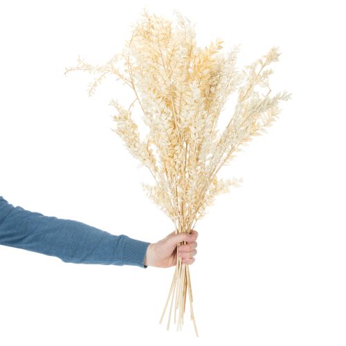 Kuivattu koristeellinen ruskusoksa, valkaistu ruskus, 200g | Floristik24.fi