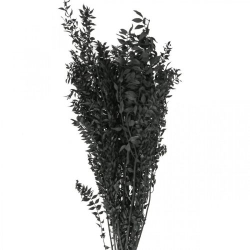 Floristik24 Ruscus oksat koristeelliset oksat kuivatut kukat musta 200g