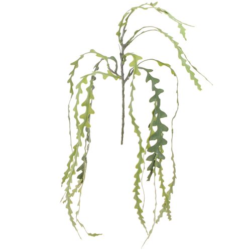 Floristik24 Keinotekoinen sahalehtikaktus Epiphyllum anguliger L68cm 3 kpl