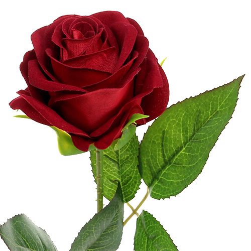 kohteita Sametti ruusunpunainen 65cm 6kpl