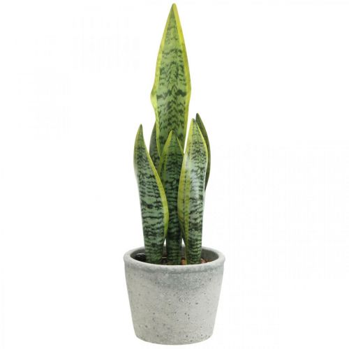 Floristik24 Keinotekoinen keulahamppu, vihreä kasvi ruukussa, Sansevieria K39cm Ø12cm