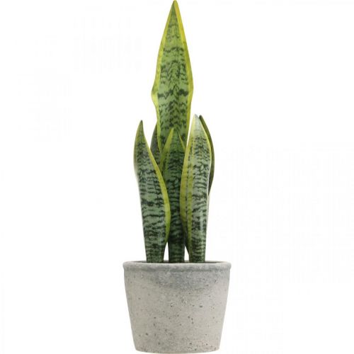 Floristik24 Keinotekoinen keulahamppu, vihreä kasvi ruukussa, Sansevieria K39cm Ø12cm