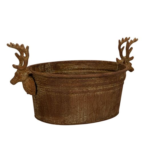 Koristeellinen kulho, poronpää, soikea, ruosteenvärinen, maalaismainen, 41cm