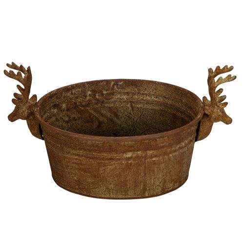 Koristeellinen kulho, poronpää, soikea, ruosteenvärinen, maalaismainen, 41cm | Floristik24.fi
