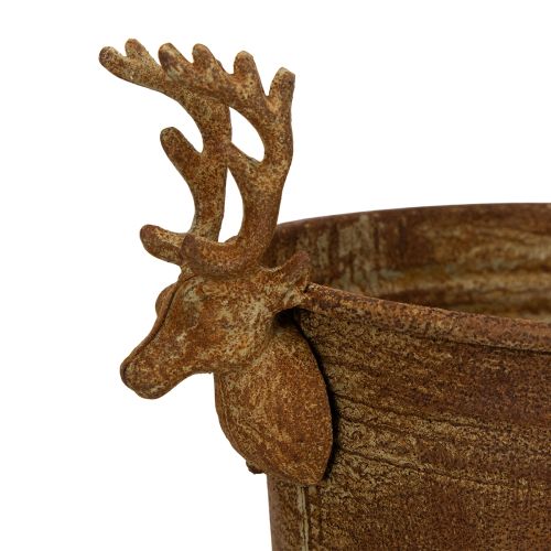 Koristeellinen kulho, poronpää, soikea, ruosteenvärinen, maalaismainen, 41cm | Floristik24.fi