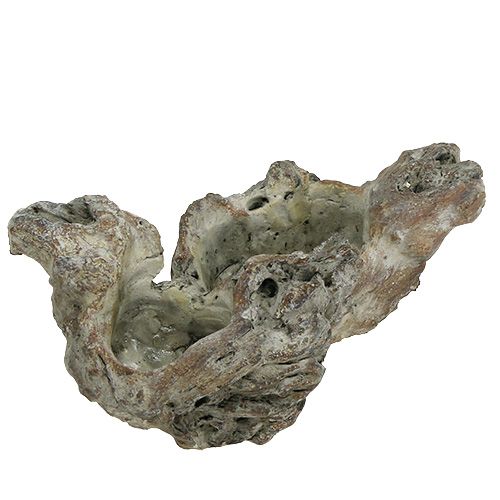 Kulho Wood Root 25,5cm x 14cm H11,5cm