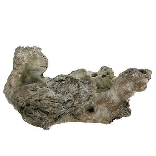 Floristik24 Kulho Wood Root 25,5cm x 14cm H11,5cm