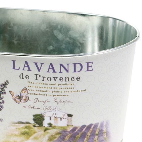 Floristik24 Kasvikulho laventeli soikea 22,5 cm x 13,5 cm k11 cm