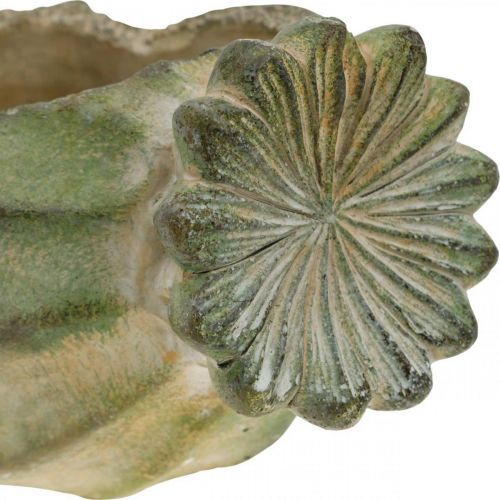 Floristik24 Koristeellinen unikkokapseli, betoniviljelmä, kätkö, hautakoristeet L26cm