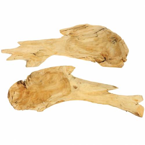 Floristik24 Juuripuu kulho 50cm x 17cm K8cm