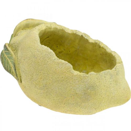 Istutuskulho, sitruuna istutukseen, Välimeren betonikoriste L22cm