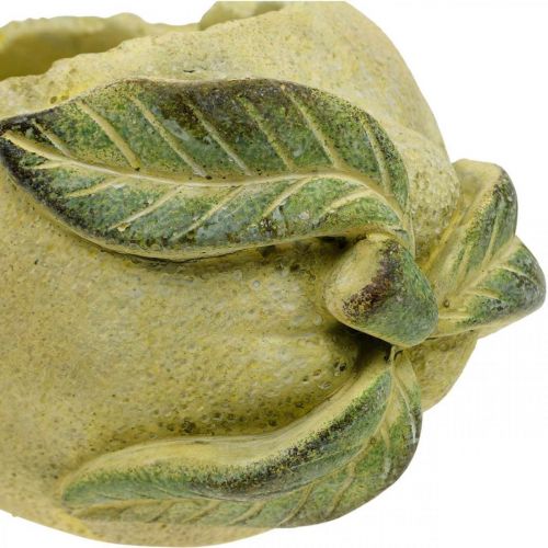 Floristik24 Välimeren betonikulho, deco sitruuna, istutin, kaapisto L18,5cm