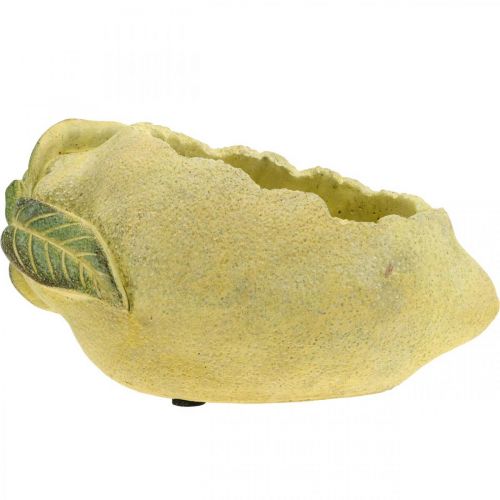 Floristik24 Välimeren betonikulho, deco sitruuna, istutin, kaapisto L18,5cm