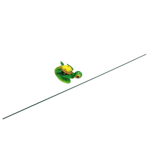 Floristik24 Kilpikonna puutarhatulpana 66cm