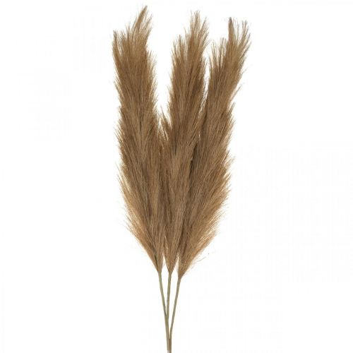 Floristik24 Feather Grass Ruskea Luonnollinen Keinotekoinen Kuiva Ruoko 100cm 3kpl