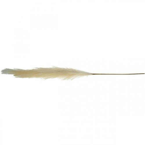 Floristik24 Feather Grass Cream Chinese Reed Keinotekoinen kuivaruoho 100cm 3kpl