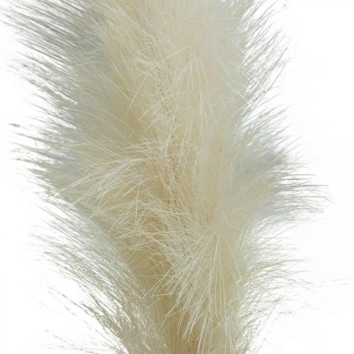 kohteita Feather Grass Cream Chinese Reed Keinotekoinen kuivaruoho 100cm 3kpl