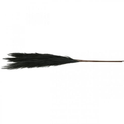 Floristik24 Feather Grass Black Chinese Reed Keinotekoinen kuivaruoho 100cm 3kpl