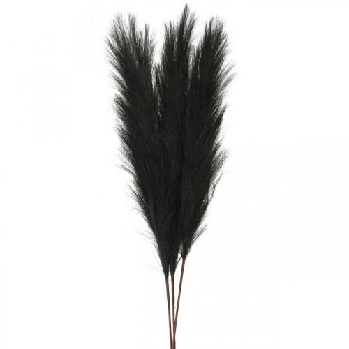 Floristik24 Feather Grass Black Chinese Reed Keinotekoinen kuivaruoho 100cm 3kpl