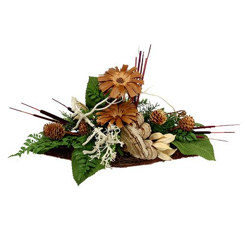kohteita Reed bulb mix luonnon koristeruoko 70cm 100 kpl