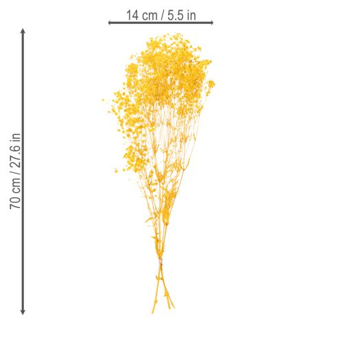 kohteita Kuivakukkakimppu vauvanhengityksellä. Koristeelliset kukkivat oksat sopivat sesonginmukaiseen pöytäkoristeluun. 70 cm