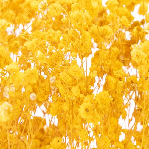 kohteita Kuivakukkakimppu vauvanhengityksellä. Koristeelliset kukkivat oksat sopivat sesonginmukaiseen pöytäkoristeluun. 70 cm