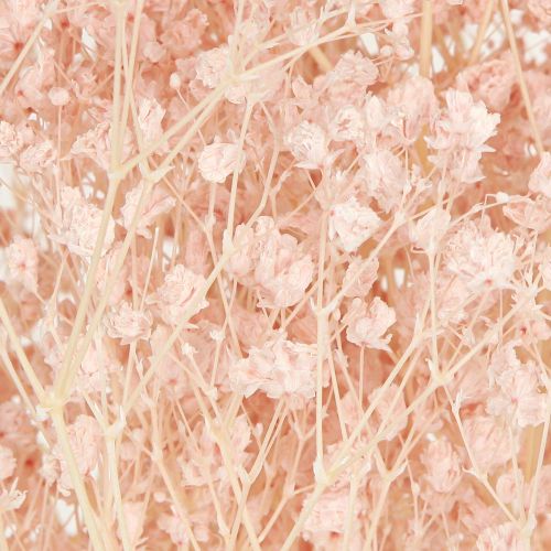 kohteita Gypsophila Decoration Oranssi kuivattu ruoho persikka 65-70cm 100g