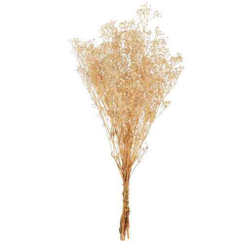 kohteita Gypsophila Orvokki Kipsiyrtti Valkoiset kukat 50cm 55g