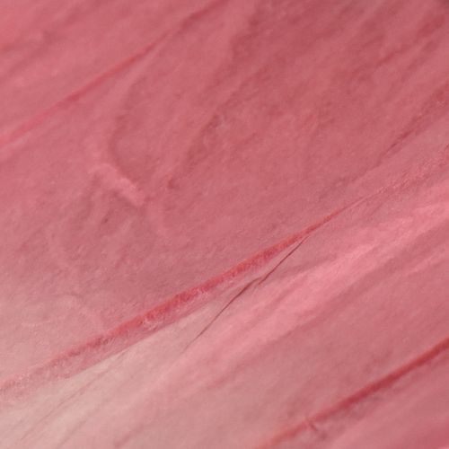 kohteita Suuri Roikkuva Perhoskoriste, Elegantti Seinäkoriste, 50cm, 2 Kappaletta