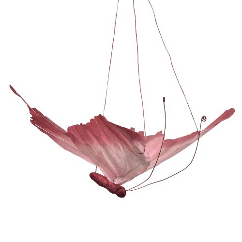 kohteita Suuri Roikkuva Perhoskoriste, Elegantti Seinäkoriste, 50cm, 2 Kappaletta