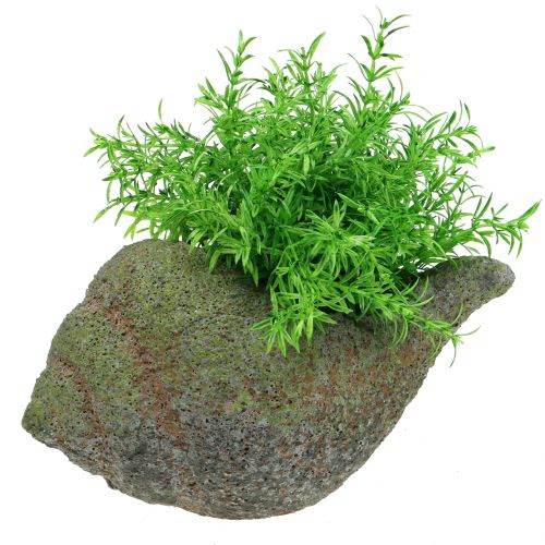 Floristik24 Kuori istutettavaksi sammalella 25 cm