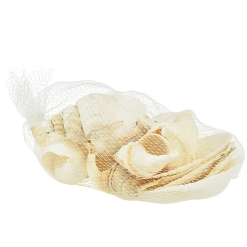 kohteita Etanankuorikoristelu Natural White Maritime Pöytäkoristeet 350g