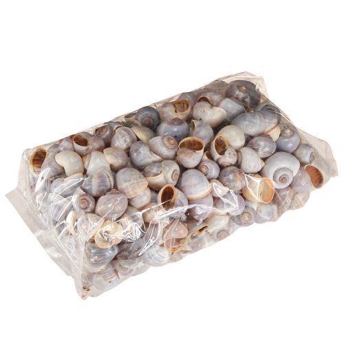 kohteita Etanankuoret luonto 1kg