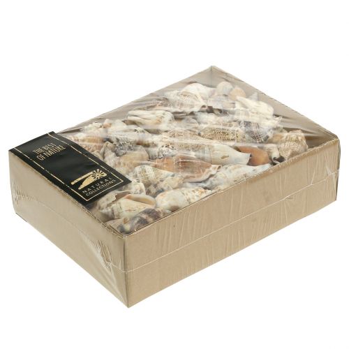 Etanankuoret nature 815g | Floristik24.fi