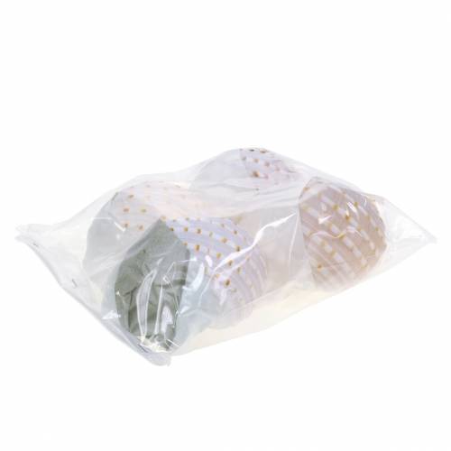 Floristik24 Koristeetana Tonna tessellata natural 10-13cm 4 kpl