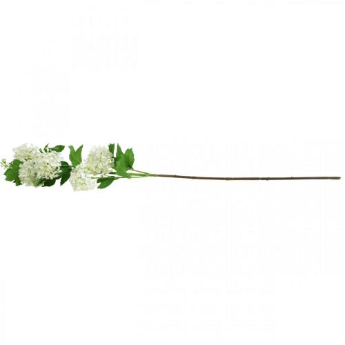 Floristik24 Snowball Branch Keinotekoinen kasvi Silkkikukka Valkoinen Ø6,5cm L78cm
