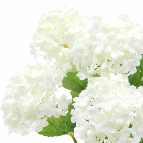 Floristik24 Lumipallo Viburnumin oksa Valkoinen 42,5cm