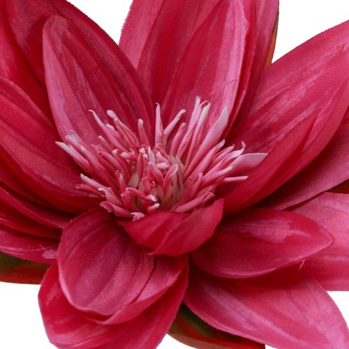 kohteita Kelluva lumpeen tekonurmi pöytäkoriste fuksia Ø15cm 2kpl