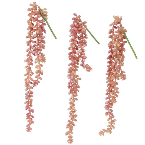 kohteita Sedum &#39;Rubin&#39; riippukasvi – koristeellinen, helppohoitoinen mehikasvi 43 cm 3 kpl.