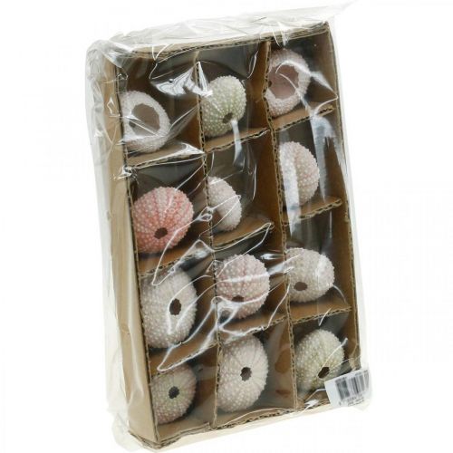 Floristik24 Merisiilikoristeet meripinkki, valkoinen, vihreä kesäkoristeet 12 kpl