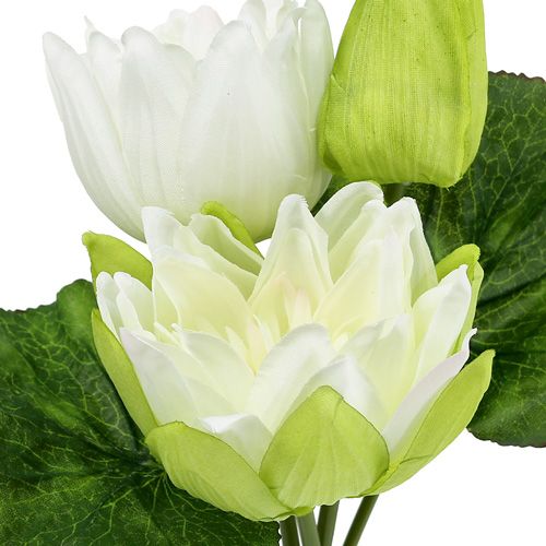 Floristik24 Vesililjat keinonvalkoinen 35cm