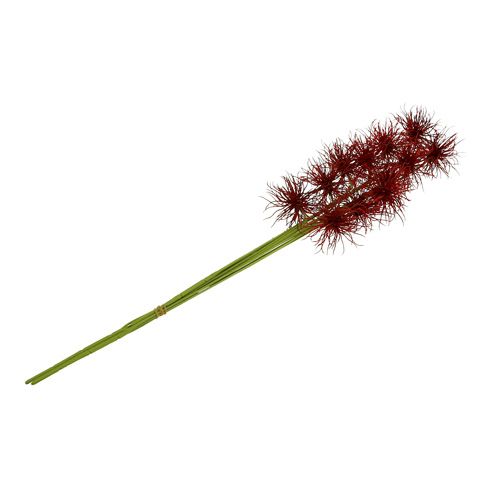 Floristik24 Silkkikukat Xanthium Bordeaux 64cm 4kpl 4kpl