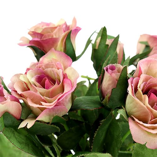 Silkkikangas kukkia ruusukimppu L26cm vanha ruusu 3kpl | Floristik24.fi
