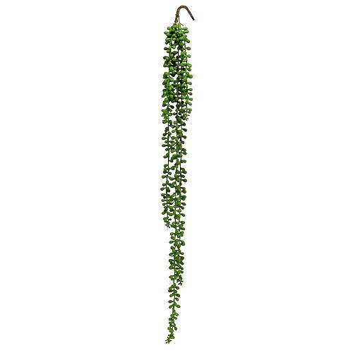 Floristik24 Senecio henkari 75cm vihreä