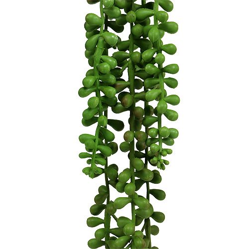 Floristik24 Senecio henkari 75cm vihreä