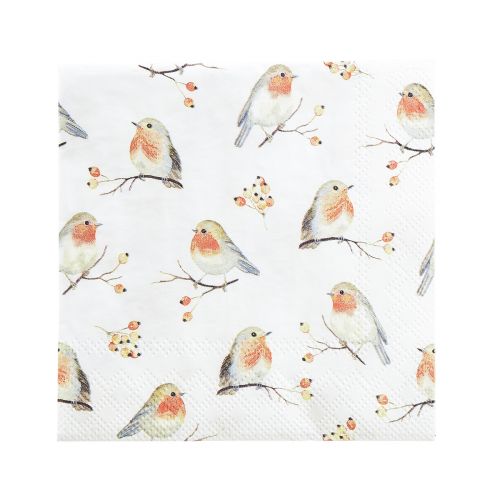 Floristik24 Lautasliinat Autumn Robin Ruusunmarjat 25x25cm 20 kpl